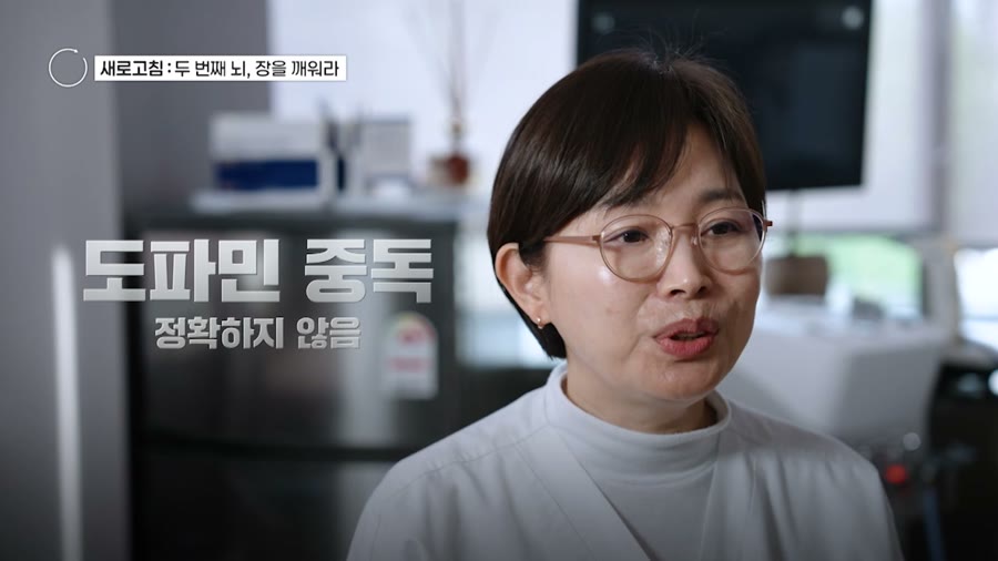 도파민 중독이라는 표현이 정확하지 않다고 설명하는 장면