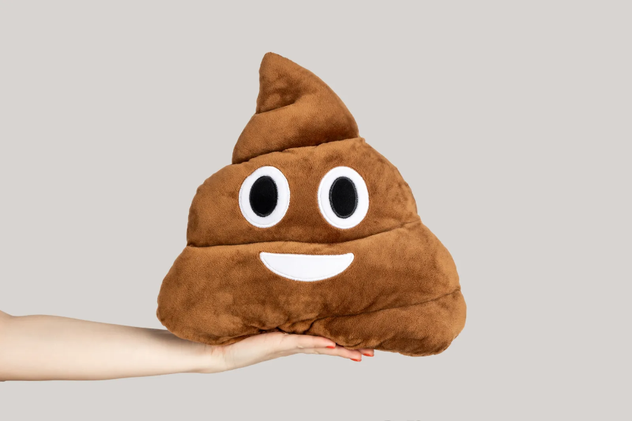 똥 모양